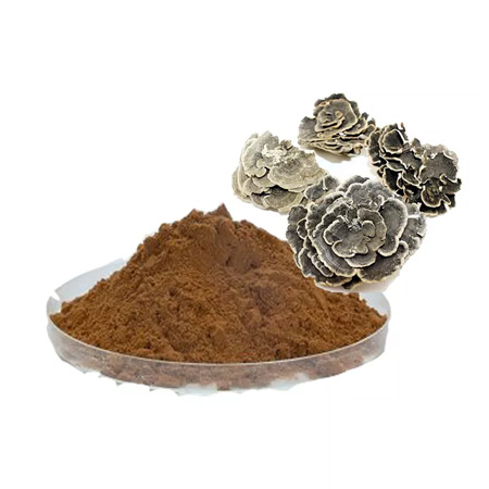 Coriolus Versicolor Extract